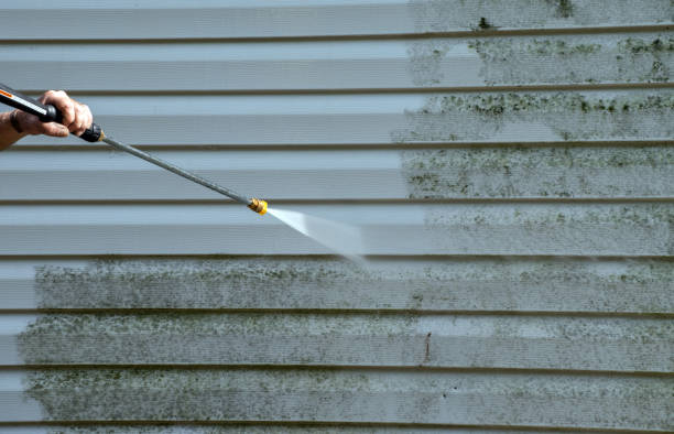 Best Gutter Cleaning and Brightening in Mexia, TX